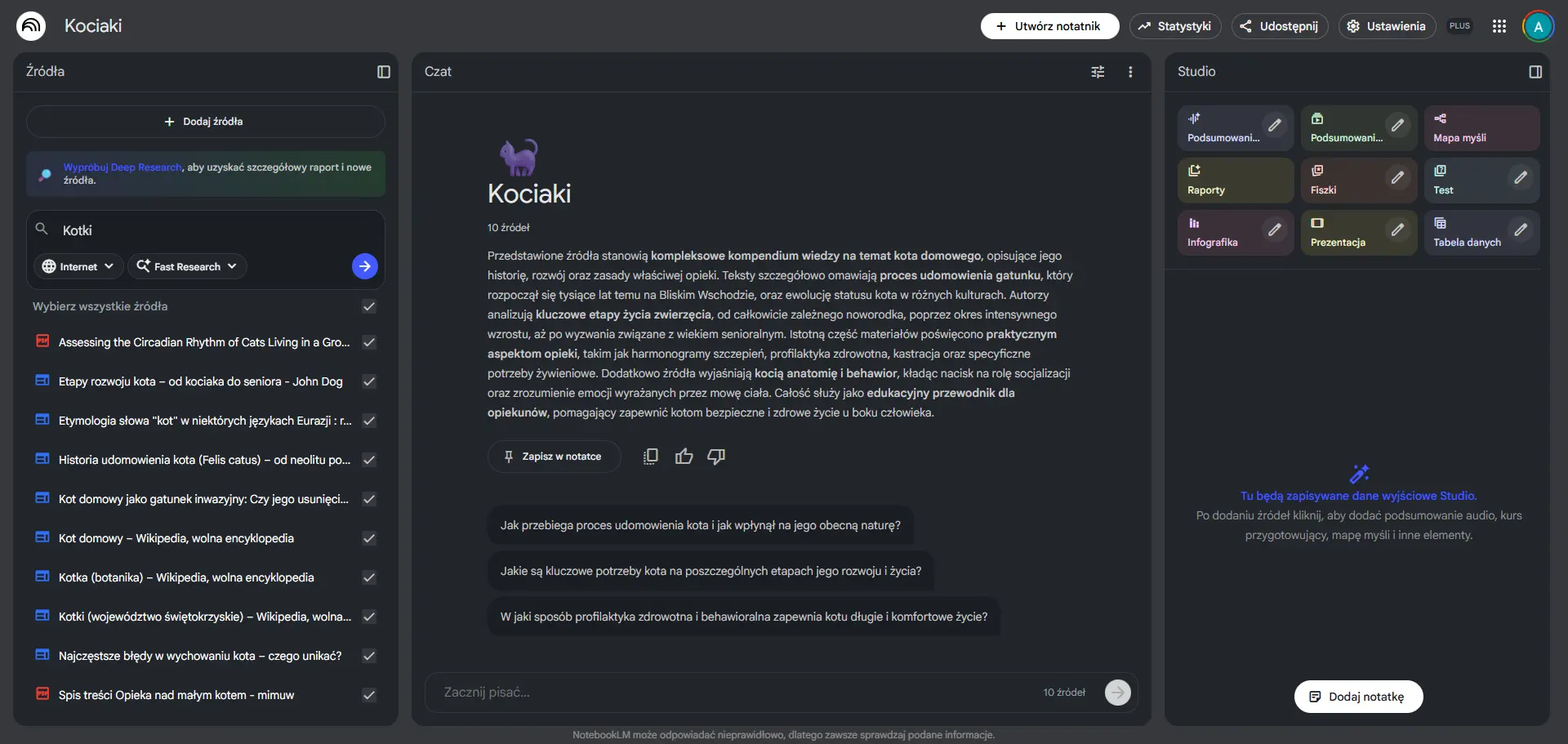 Kociaki NotebookLM